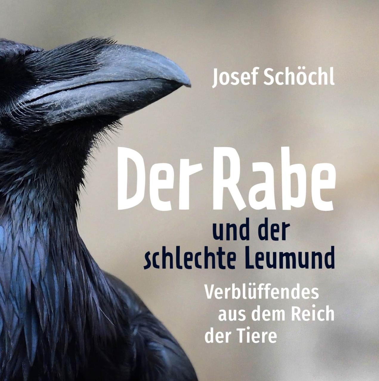 Schöchl Buch