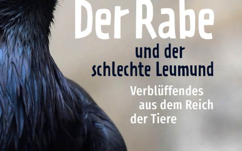 Schöchl Buch